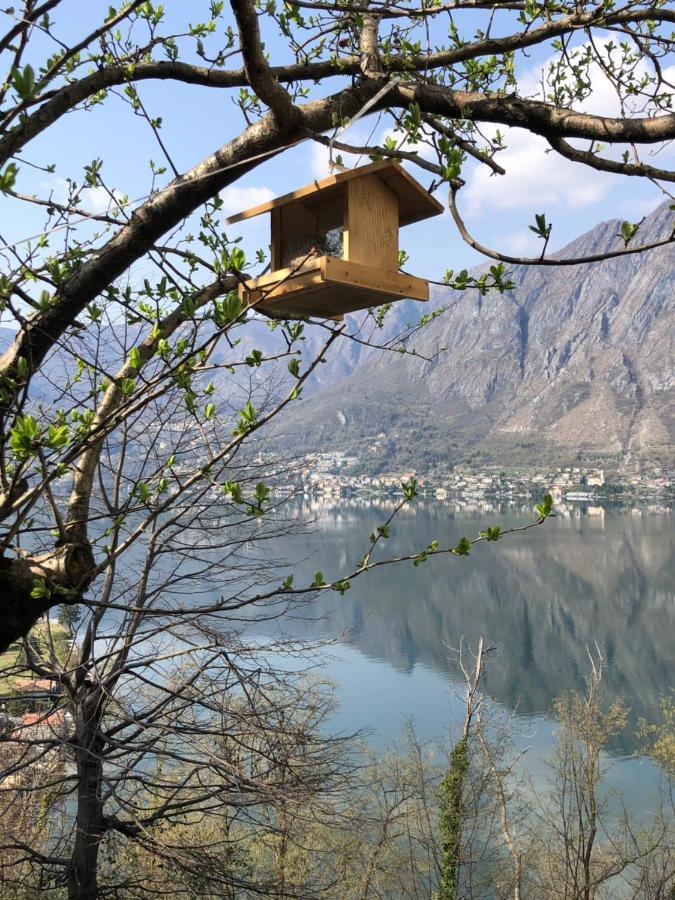 Milly Lake Claino Bagian luar foto